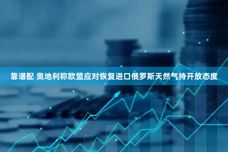 靠谱配 奥地利称欧盟应对恢复进口俄罗斯天然气持开放态度