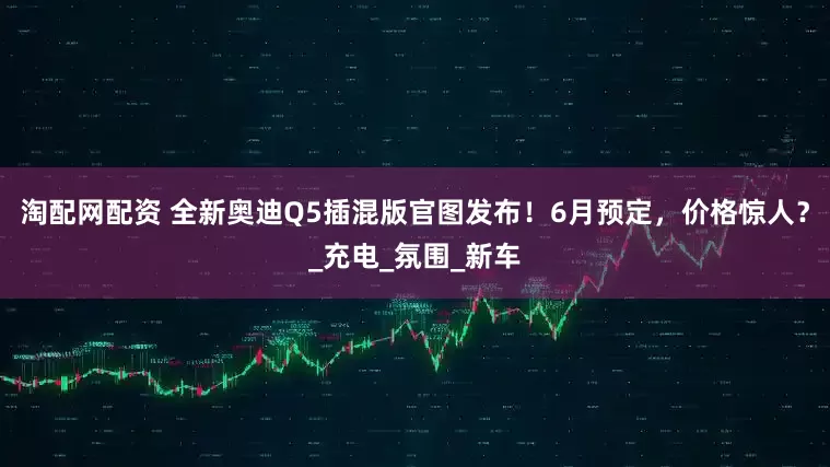 淘配网配资 全新奥迪Q5插混版官图发布！6月预定，价格惊人？_充电_氛围_新车