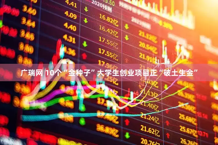 广瑞网 10个“金种子”大学生创业项目正“破土生金”