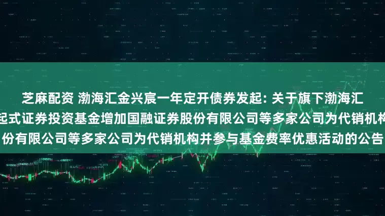 芝麻配资 渤海汇金兴宸一年定开债券发起: 关于旗下渤海汇金兴宸一年定期开放债券型发起式证券投资基金增加国融证券股份有限公司等多家公司为代销机构并参与基金费率优惠活动的公告