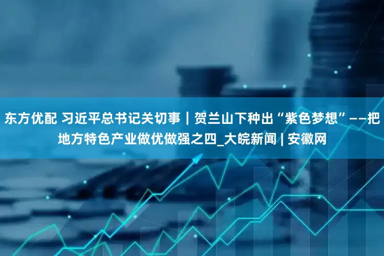 东方优配 习近平总书记关切事｜贺兰山下种出“紫色梦想”——把地方特色产业做优做强之四_大皖新闻 | 安徽网