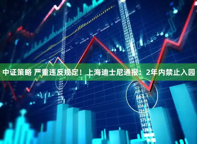 中证策略 严重违反规定！上海迪士尼通报：2年内禁止入园