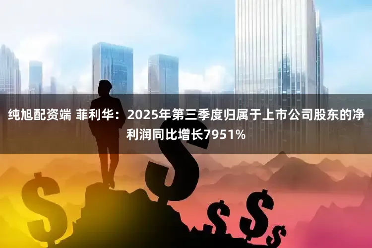 纯旭配资端 菲利华：2025年第三季度归属于上市公司股东的净利润同比增长7951%